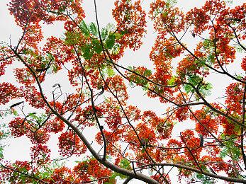 《骷髅岛：金刚崛起》10月17日发售 登陆全平台