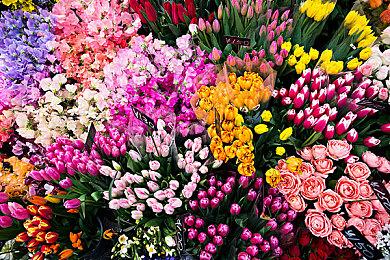 国产古风真人互动游戏《咸鱼殿下》3月1日steam正式发售